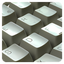Password Revealer