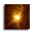 Free Abstractions Screensaver