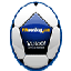 FIFAworldcup.com Widget