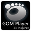 11 Inspirat GOM Player Skin