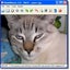 ViewNResize