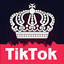 Boost Fans For TikTok Musically Likes Followers