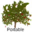 WinDirStat Portable