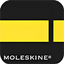 Moleskine