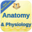 Anatomy & Physiology +2700 Study Notes & Exam Quiz