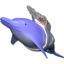 Laser Dolphin
