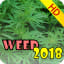 Weed Wallpaper HD 2018