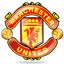 Tema del Manchester United