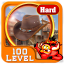 Challenge 16 Far West New Free Hidden Object Game