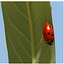 InPixio Photo Maximizer