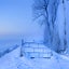 Snow panoramic Windows themes