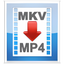 MKV2MP4