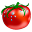 Tomato Torrent