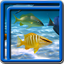 Ocean Fish Live Wallpapers