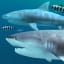 Sharks 3D - Live Wallpaper
