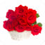 Red Rose HD Images 2020