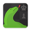 Komodo 13 Chess Engine