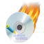 Dragon Burn