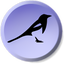 Magpie Pro