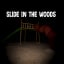 Slide in the woods