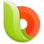 Next Browser