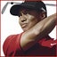 Tiger Woods PGA Tour