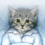 ぐっすりニャ睡眠記録