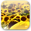 Download Manager Tweak