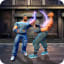 Kung Fu Real Fight Free Fighting Games