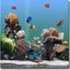 serenescreen marine aquarium 3 keycode free serenescreen marine aquarium 3 keycode free