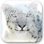 Mac OS X Snow Leopard Wallpapers