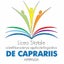 Liceo Statale V. De Caprariis