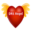 DNS Angel
