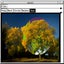 Mapedit