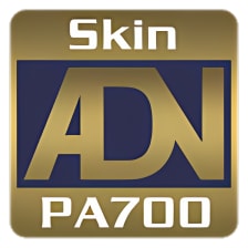 Skin Korg Pa700 For ORG 2019