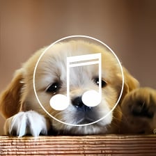 Puppy Sound Dog Spa music-radio