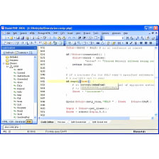Rapid PHP Editor 2006