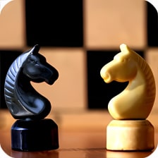 Chess Tactics (Puzzles)