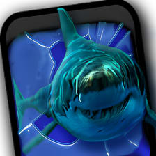 Angry Shark Pet Cracks Screen