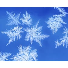 Snowflakes and Frost