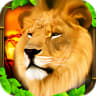 Safari Simulator: Lion