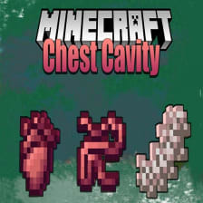 Minecraft Surgery - Chest Cavity Mod