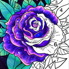 Coloring Book - Color by Number  Paint by Number