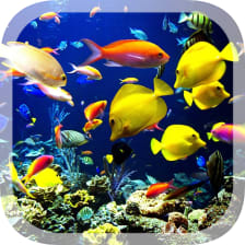 Real Aquarium Live Wallpaper