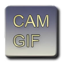 Webcam to GIF