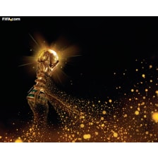 FIFA 2010 World Cup Wallpaper