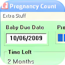 Pregnancy Countdown