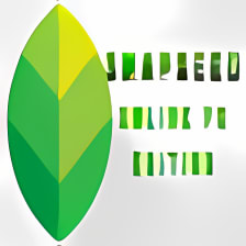 Snapseed Online PC - Photo Editing