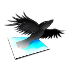 Aviary Raven
