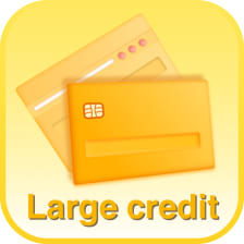 Large credit